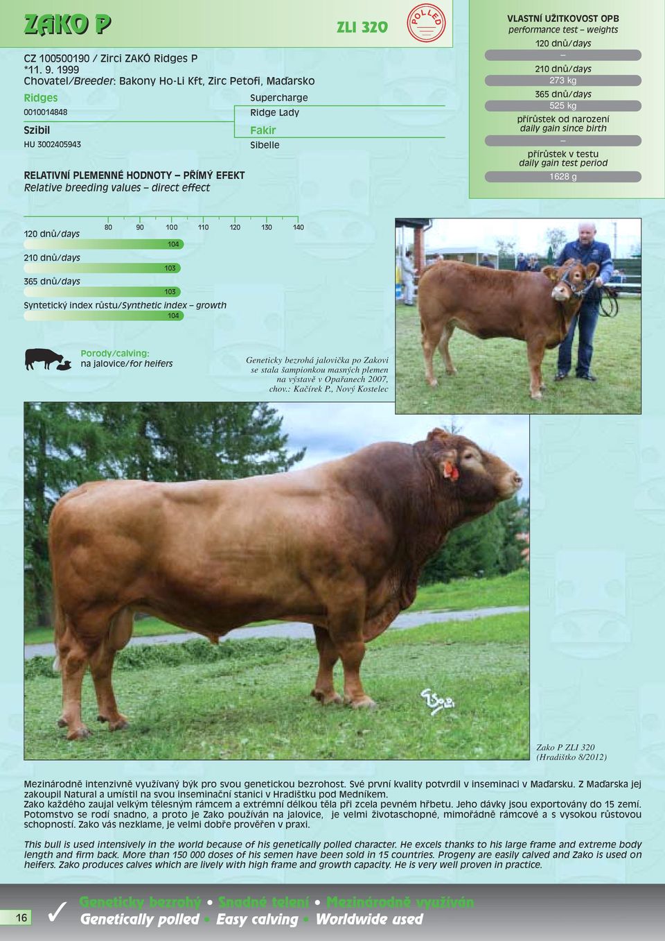 heifers Geneticky bezrohá jalovička po Zakovi se stala šampionkou masných plemen na výstavě v Opařanech 2007, chov.: Kačírek P.