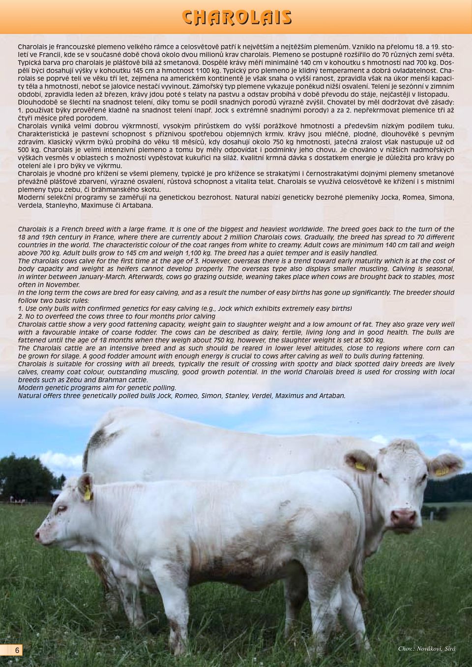 Dospûlé krávy mûfií minimálnû 140 cm v kohoutku s hmotností nad 700 kg. Dospûlí b ci dosahují v ky v kohoutku 145 cm a hmotnost 1100 kg. Typick pro plemeno je klidn temperament a dobrá ovladatelnost.