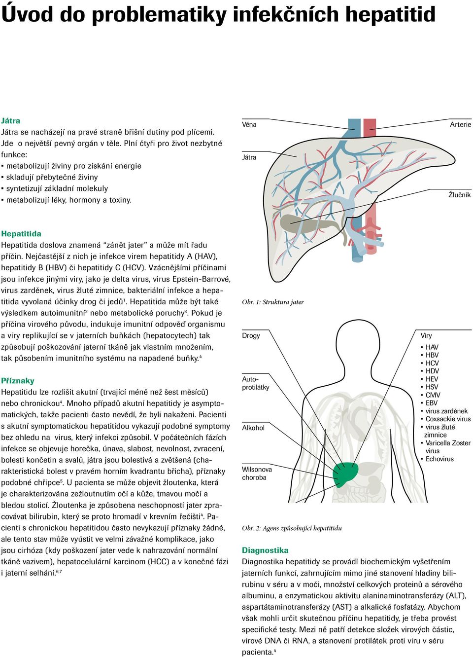 Véna Játra Arterie Žlučník Hepatitida Hepatitida doslova znamená zánět jater a může mít řadu příčin. Nejčastější z nich je infekce virem hepatitidy A (HAV), hepatitidy B (HBV) či hepatitidy C (HCV).