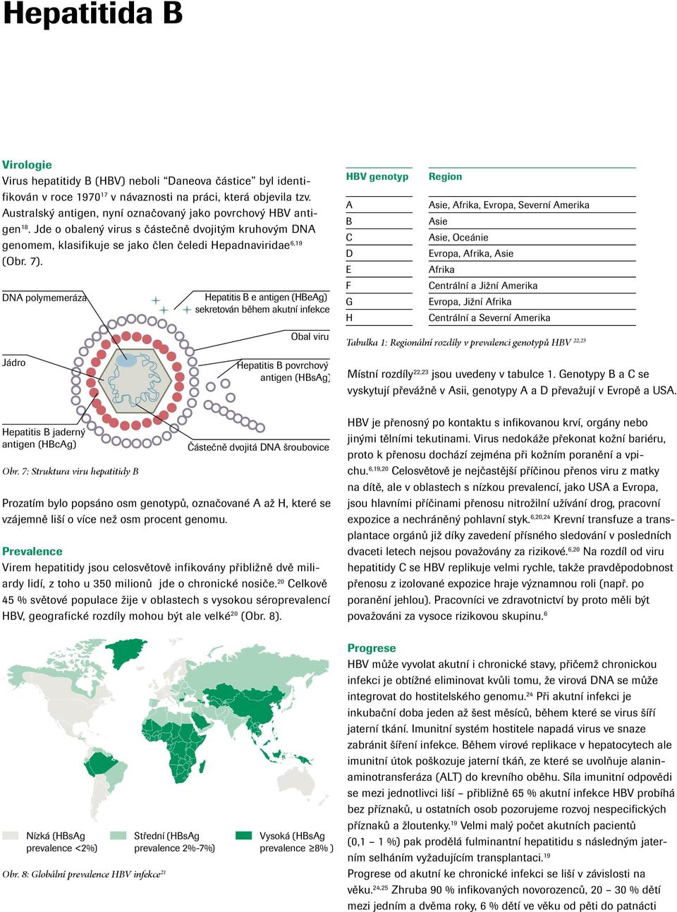 Hepatitis B e antigen (HBeAg) sekretován během akutní infekce DNA polymemeráza Obal viru Jádro Hepatitis B povrchový antigen (HBsAg) Hepatitis B jaderný antigen (HBcAg) Částečně dvojitá DNA