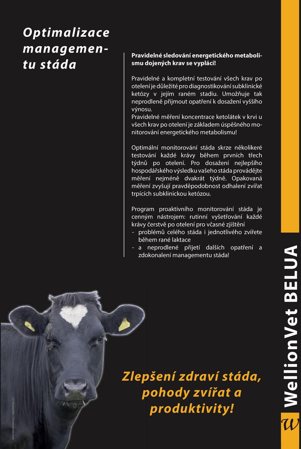 Pravidelné měření koncentrace ketolátek v krvi u všech krav po otelení je základem úspěšného monitorování energetického metabolismu!