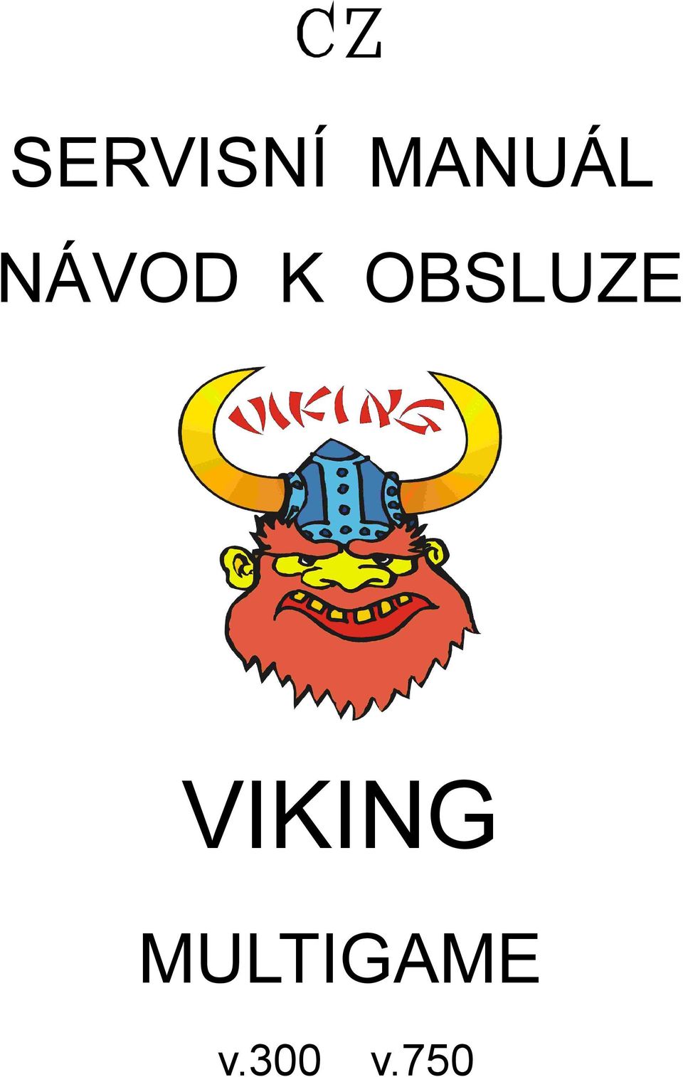 OBSLUZE VIKING