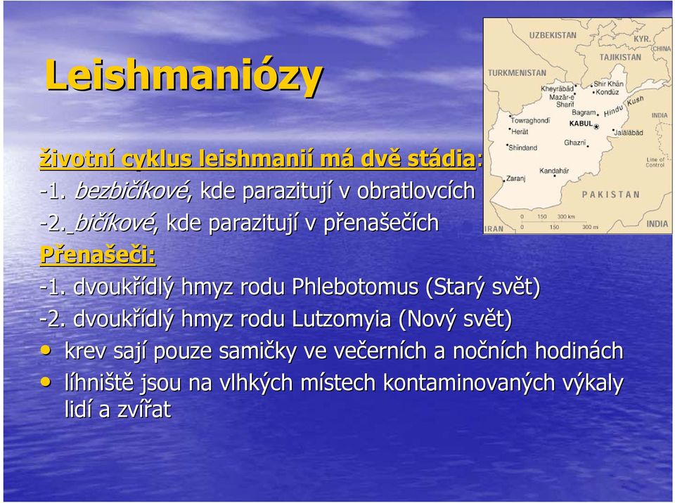 bičíkov kové,, kde parazitují v přenap enašečích Přenašeči: -1.