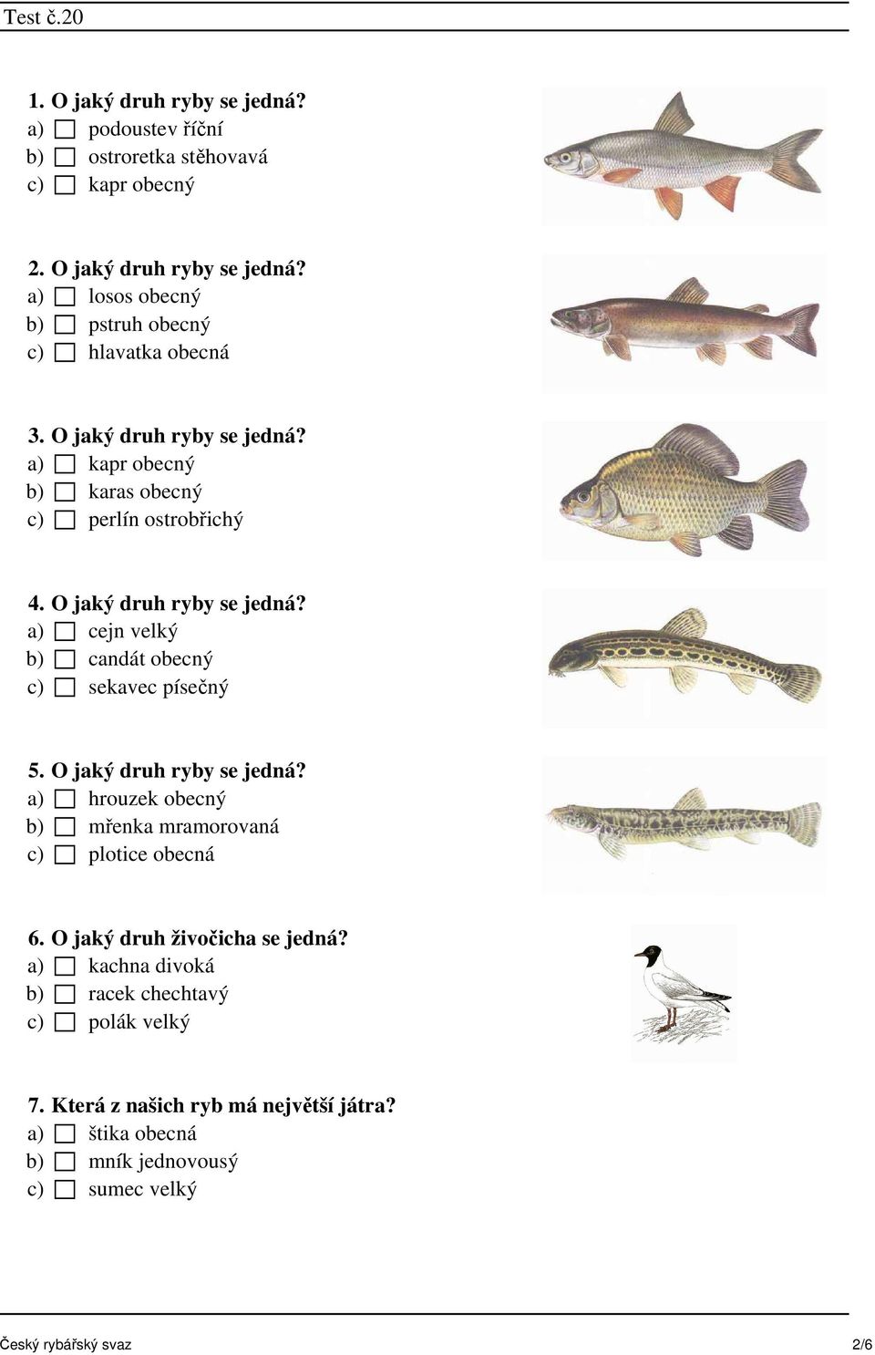 a) cejn velký b) candát obecný c) sekavec písečný 5. O jaký druh ryby se jedná? a) hrouzek obecný b) mřenka mramorovaná c) plotice obecná 6.