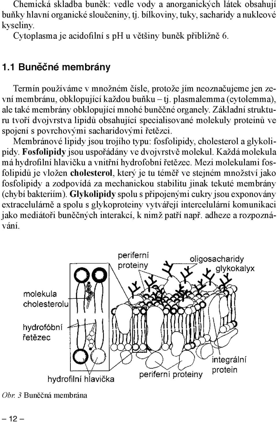 plasmalemma (cytolemma), ale také membrány obklopující mnohé buněčné organely.