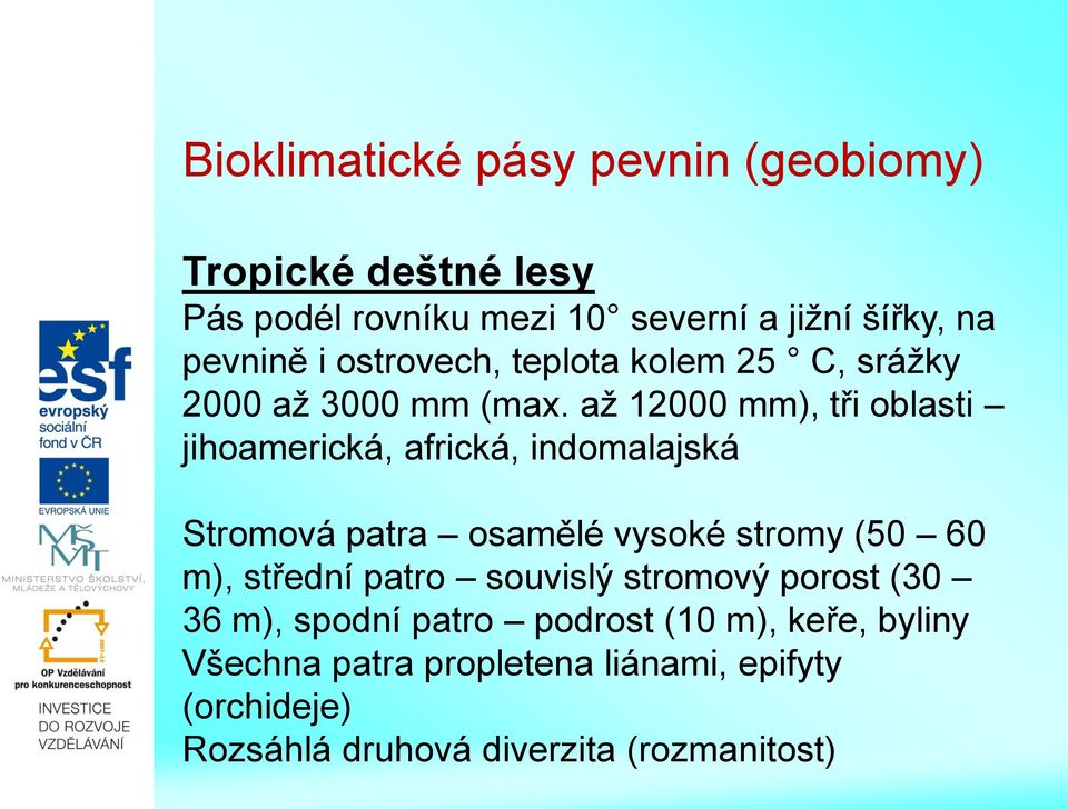 až 12000 mm), tři oblasti jihoamerická, africká, indomalajská Stromová patra osamělé vysoké stromy (50 60 m), střední