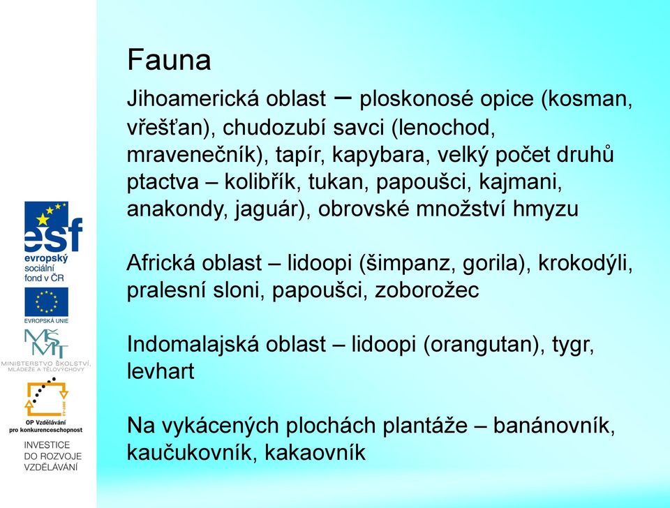 množství hmyzu Africká oblast lidoopi (šimpanz, gorila), krokodýli, pralesní sloni, papoušci, zoborožec