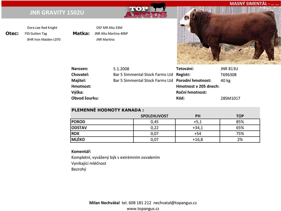2008 Tetování: JNR 813U Chovatel: Bar 5 Simmental Stock Farms Ltd Registr: T696308 Majitel: Bar 5 Simmental Stock Farms Ltd