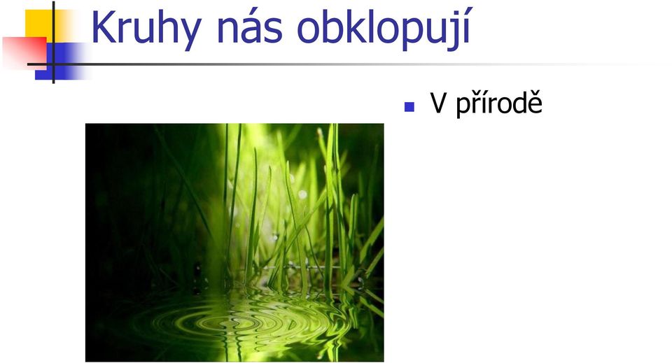 V přírodě