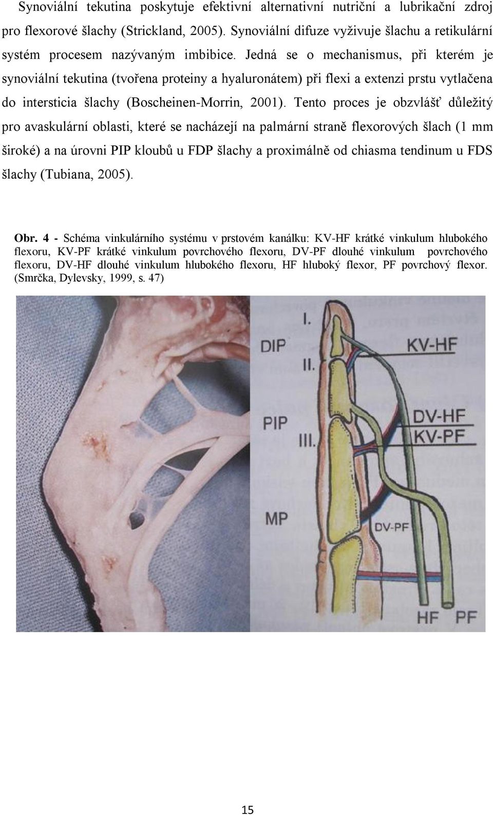 Jedná se o mechanismus, při kterém je synoviální tekutina (tvořena proteiny a hyaluronátem) při flexi a extenzi prstu vytlačena do intersticia šlachy (Boscheinen-Morrin, 2001).