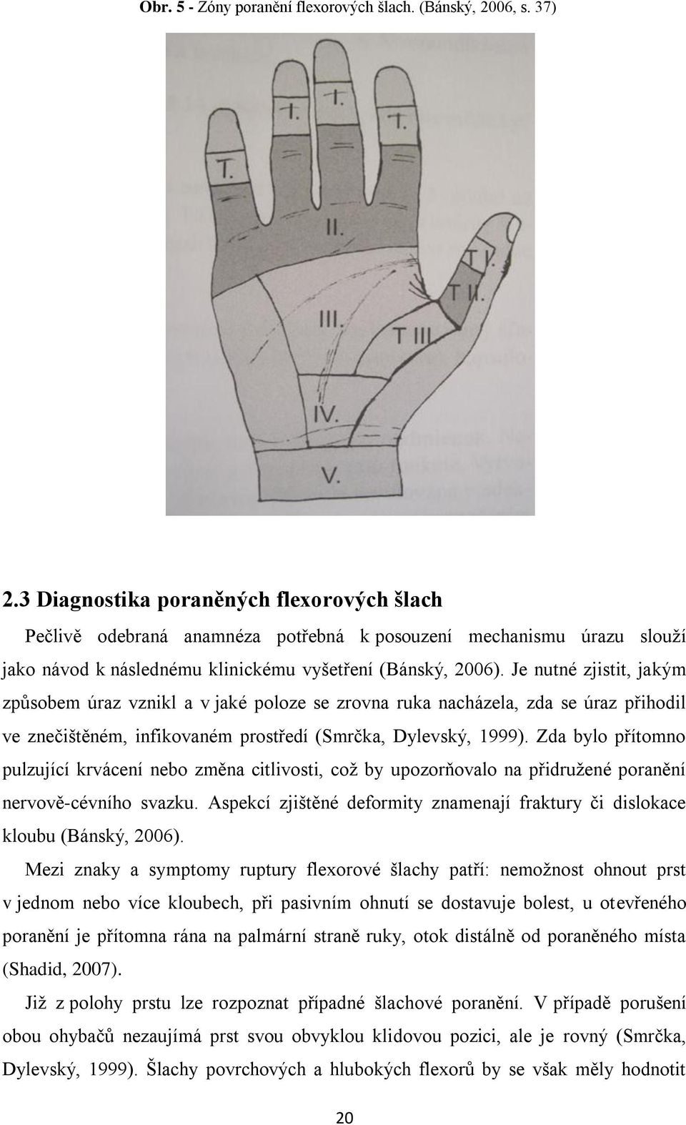 Je nutné zjistit, jakým způsobem úraz vznikl a v jaké poloze se zrovna ruka nacházela, zda se úraz přihodil ve znečištěném, infikovaném prostředí (Smrčka, Dylevský, 1999).
