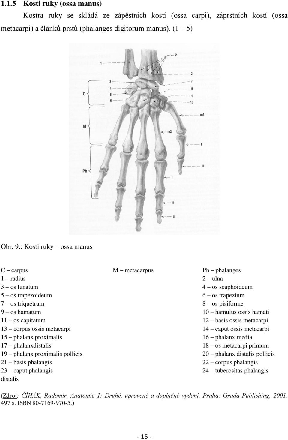 hamati 11 os capitatum 12 basis ossis metacarpi 13 corpus ossis metacarpi 14 caput ossis metacarpi 15 phalanx proximalis 16 phalanx media 17 phalanxdistalis 18 os metacarpi primum 19 phalanx