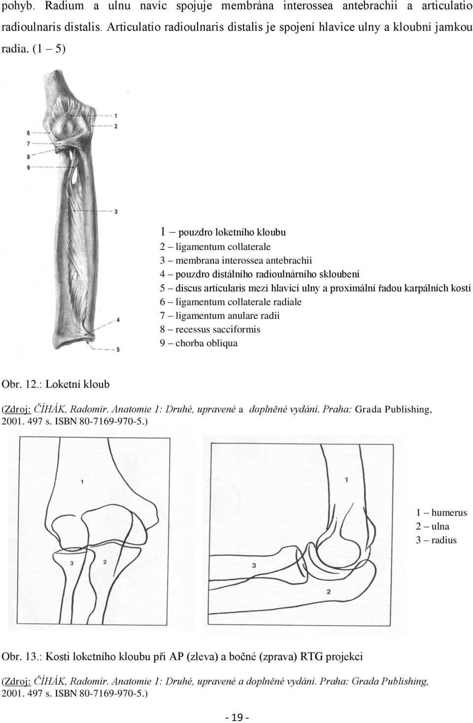 karpálních kostí 6 ligamentum collaterale radiale 7 ligamentum anulare radii 8 recessus sacciformis 9 chorba obliqua Obr. 12.: Loketní kloub (Zdroj: ČÍHÁK, Radomír.