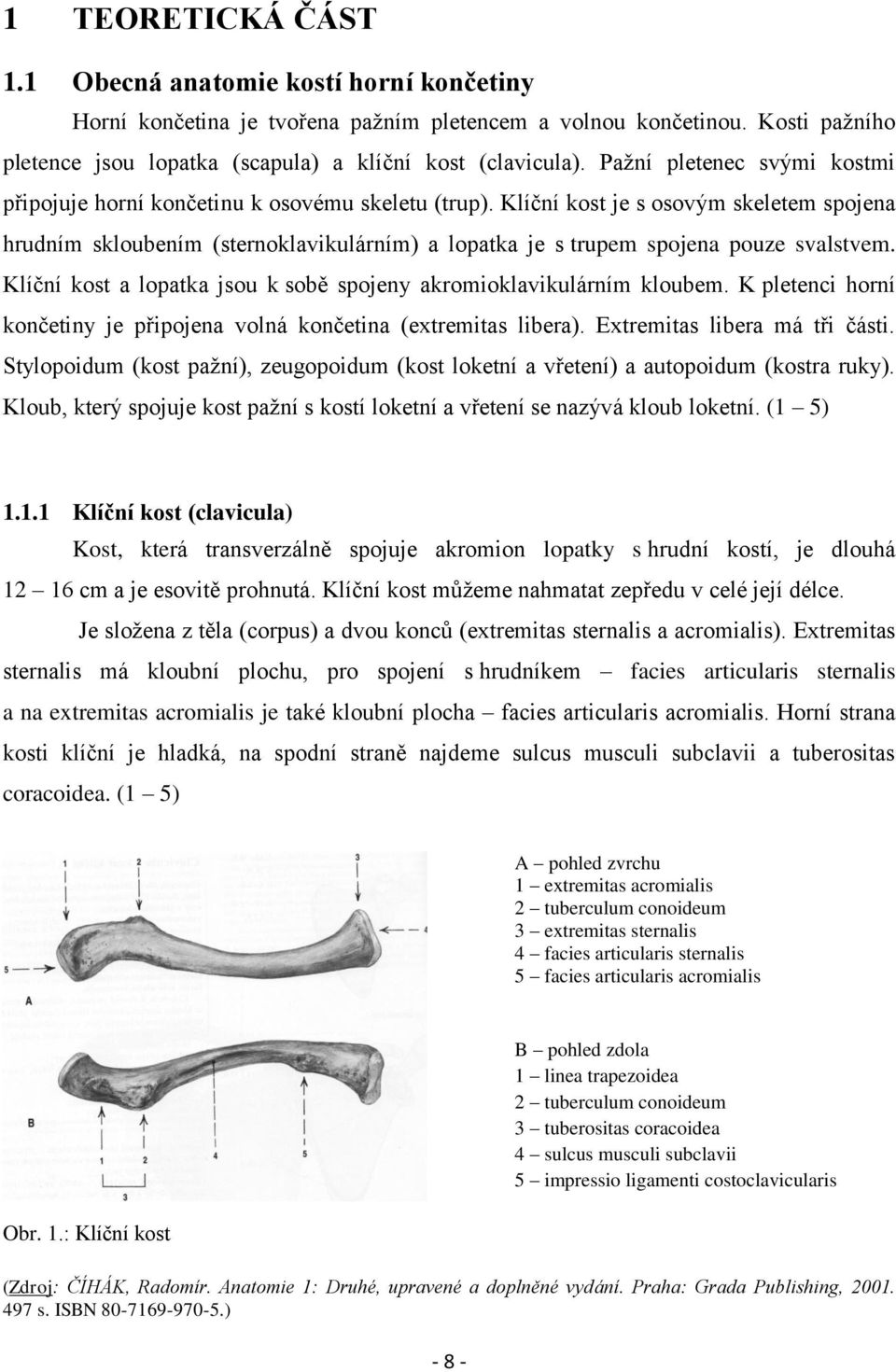 Klíční kost je s osovým skeletem spojena hrudním skloubením (sternoklavikulárním) a lopatka je s trupem spojena pouze svalstvem. Klíční kost a lopatka jsou k sobě spojeny akromioklavikulárním kloubem.