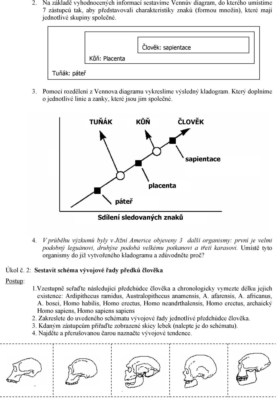 TUŇÁK KŮŇ ČLOVĚK sapientace páteř placenta Sdílení sledovaných znaků 4.