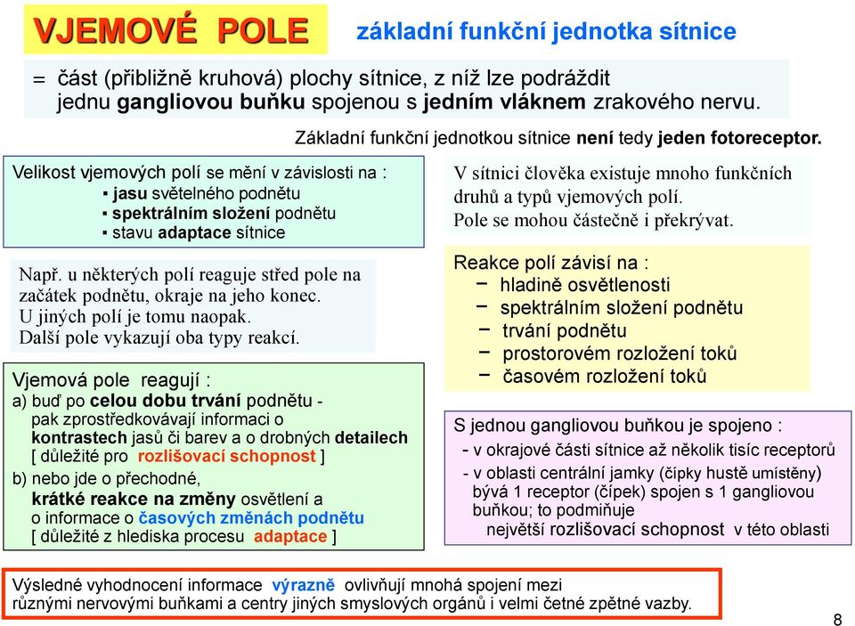 u některých polí reaguje střed pole na začátek podnětu, okraje na jeho konec. U jiných polí je tomu naopak. Další pole vykazují oba typy reakcí.