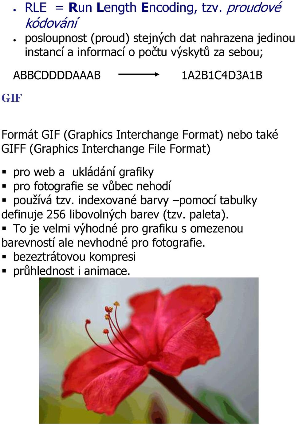 1A2B1C4D3A1B GIF Formát GIF (Graphics Interchange Format) nebo také GIFF (Graphics Interchange File Format) pro web a ukládání grafiky