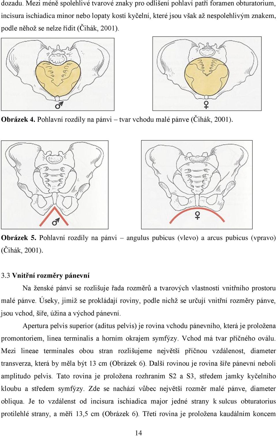 řídit (Čihák, 2001). Obrázek 4. Pohlavní rozdíly na pánvi tvar vchodu malé pánve (Čihák, 2001). Obrázek 5. Pohlavní rozdíly na pánvi angulus pubicus (vlevo) a arcus pubicus (vpravo) (Čihák, 2001). 3.