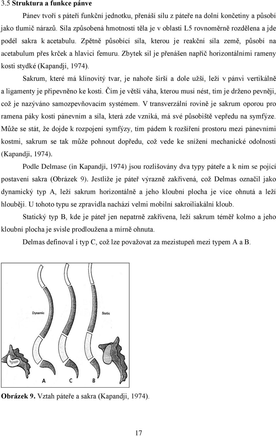 Zbytek sil je přenášen napříč horizontálními rameny kosti stydké (Kapandji, 1974).