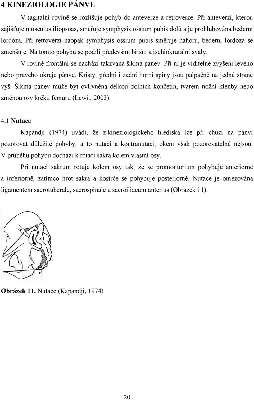 Při retroverzi naopak symphysis ossium pubis směruje nahoru, bederní lordóza se zmenšuje. Na tomto pohybu se podílí především břišní a ischiokrurální svaly.