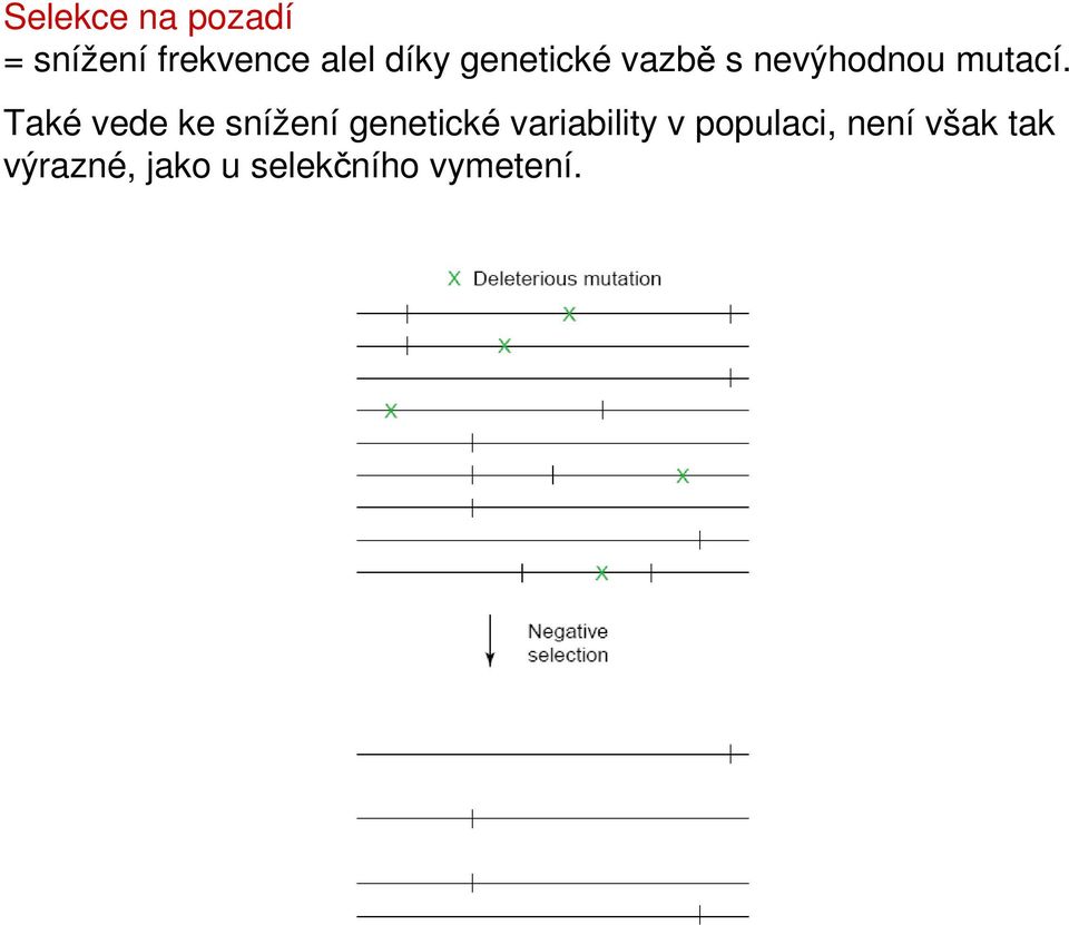 Také vede ke snížení genetické variability v