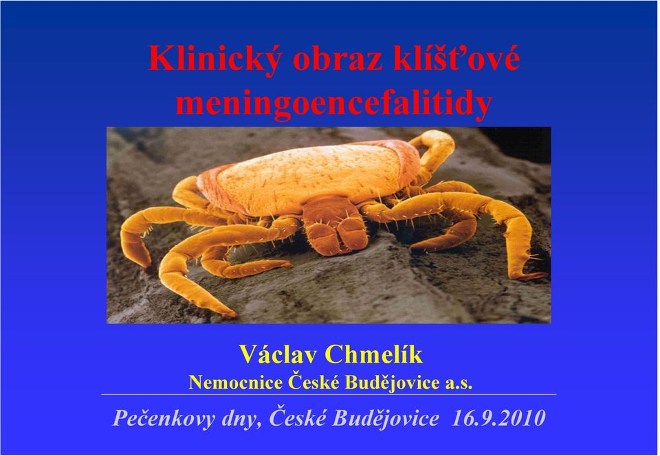 Chmelík Nemocnice České