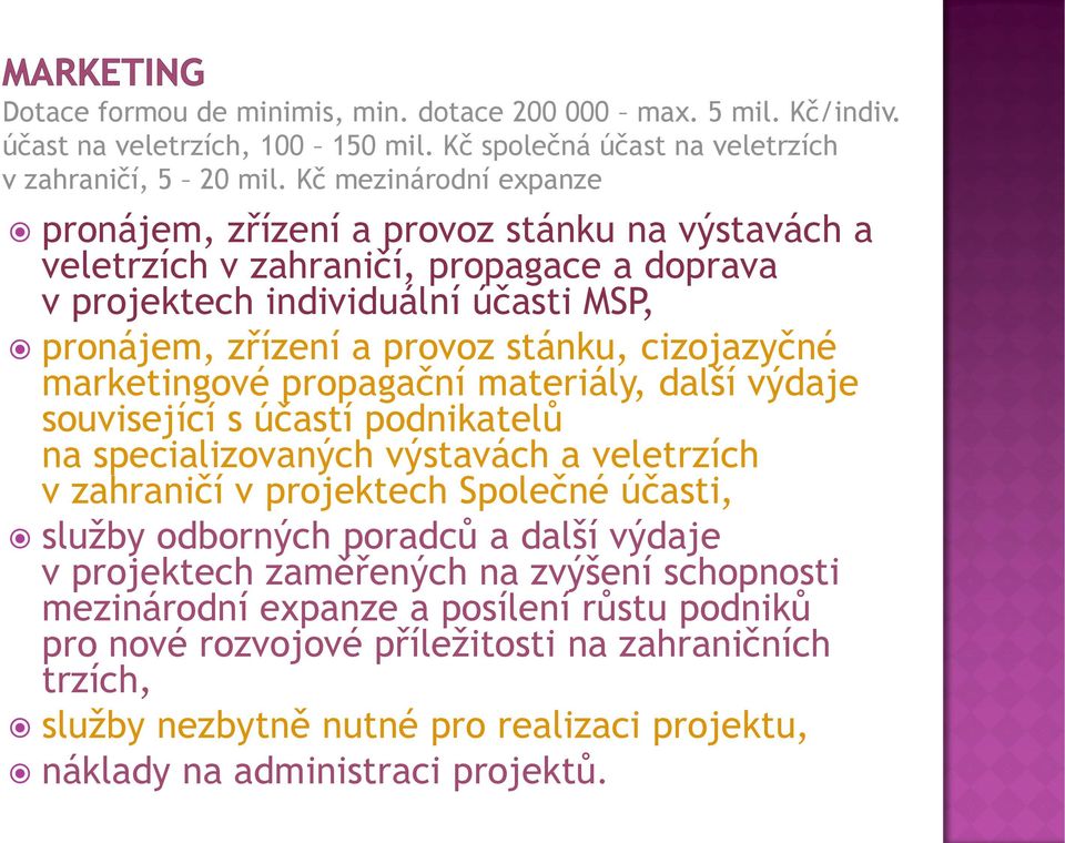 cizojazyčné marketingové propagační materiály, další výdaje související s účastí podnikatelů na specializovaných výstavách a veletrzích v zahraničí v projektech Společné účasti, služby odborných