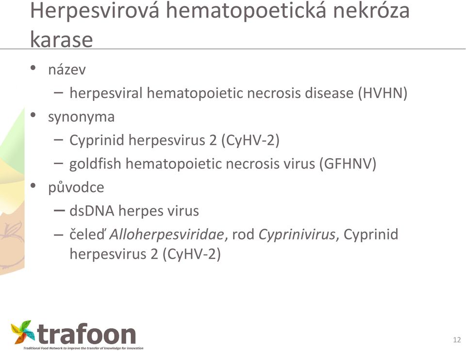 (CyHV-2) goldfish hematopoietic necrosis virus (GFHNV) původce dsdna
