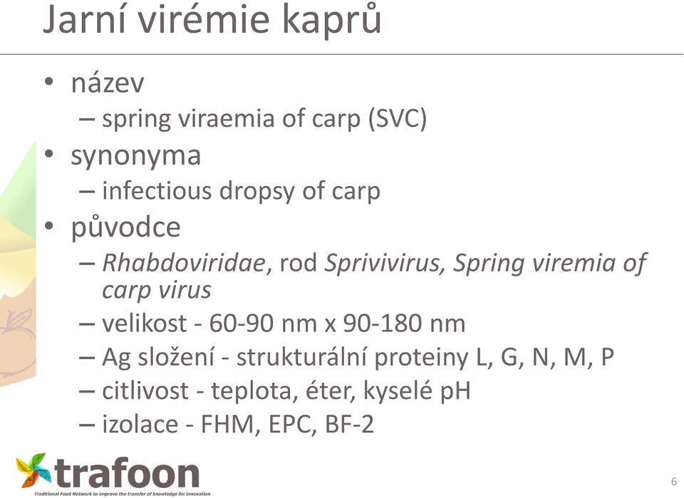 carp virus velikost - 60-90 nm x 90-180 nm Ag složení - strukturální