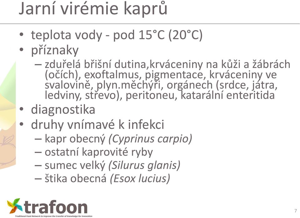 měchýři, orgánech (srdce, játra, ledviny, střevo), peritoneu, katarální enteritida diagnostika druhy