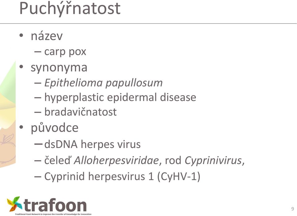 bradavičnatost původce dsdna herpes virus čeleď