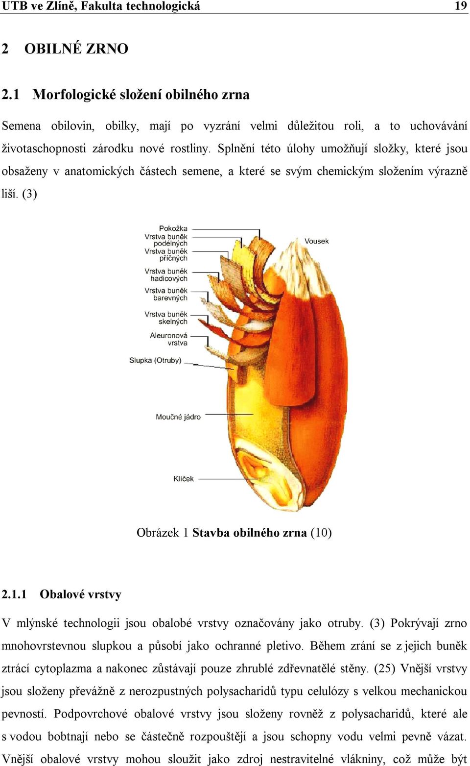 Splnění této úlohy umožňují složky, které jsou obsaženy v anatomických částech semene, a které se svým chemickým složením výrazně liší. (3) Obrázek 1 