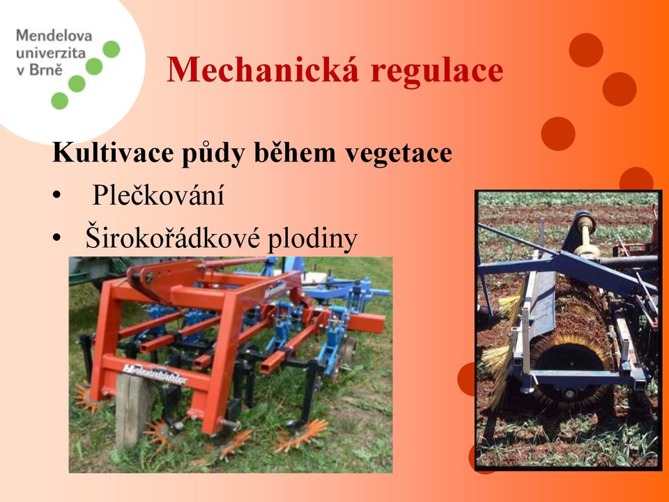 vegetace Plečkování