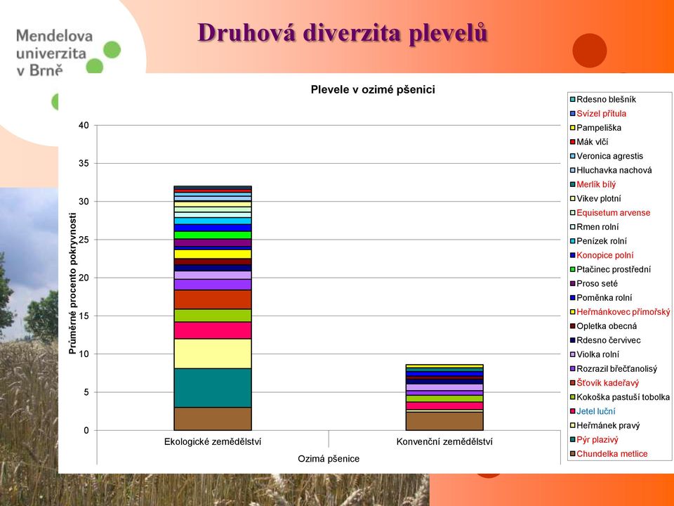 prostřední Proso seté Poměnka rolní 15 Heřmánkovec přímořský Opletka obecná Rdesno červivec 10 Violka rolní Rozrazil břečťanolisý 5 Šťovík