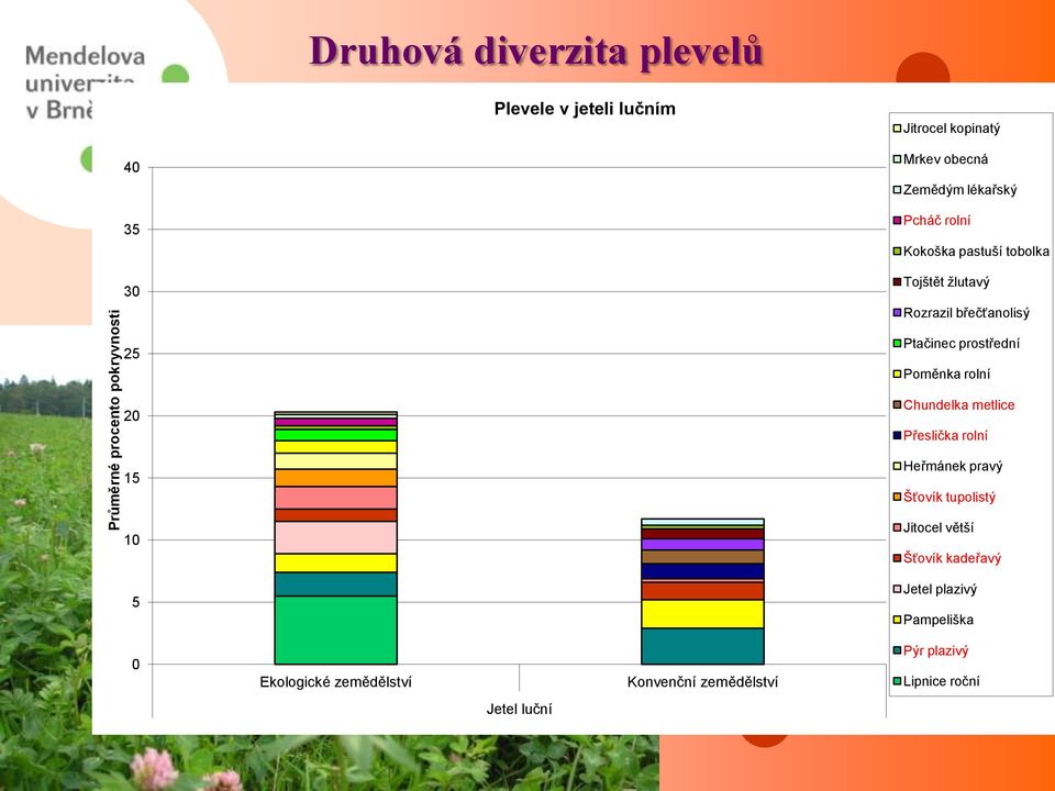 prostřední Poměnka rolní Chundelka metlice Přeslička rolní 15 Heřmánek pravý Šťovík tupolistý 10 Jitocel větší Šťovík