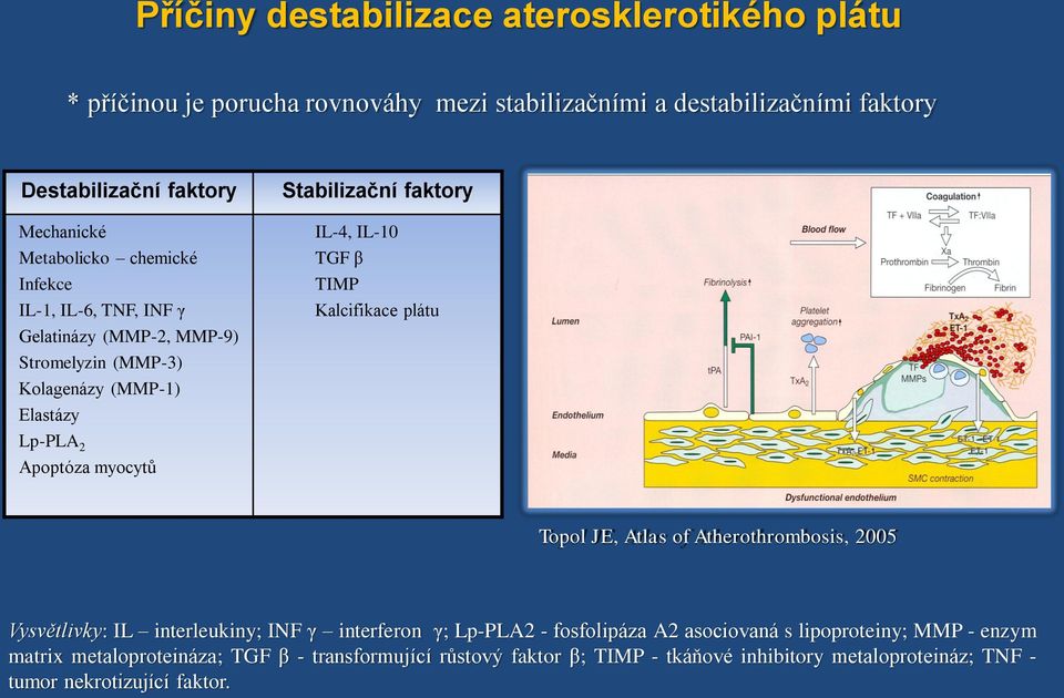 faktory IL-4, IL-10 TGF β TIMP Kalcifikace plátu Topol JE, Atlas of Atherothrombosis, 2005 Vysvětlivky: IL interleukiny; INF γ interferon γ; Lp-PLA2 - fosfolipáza A2