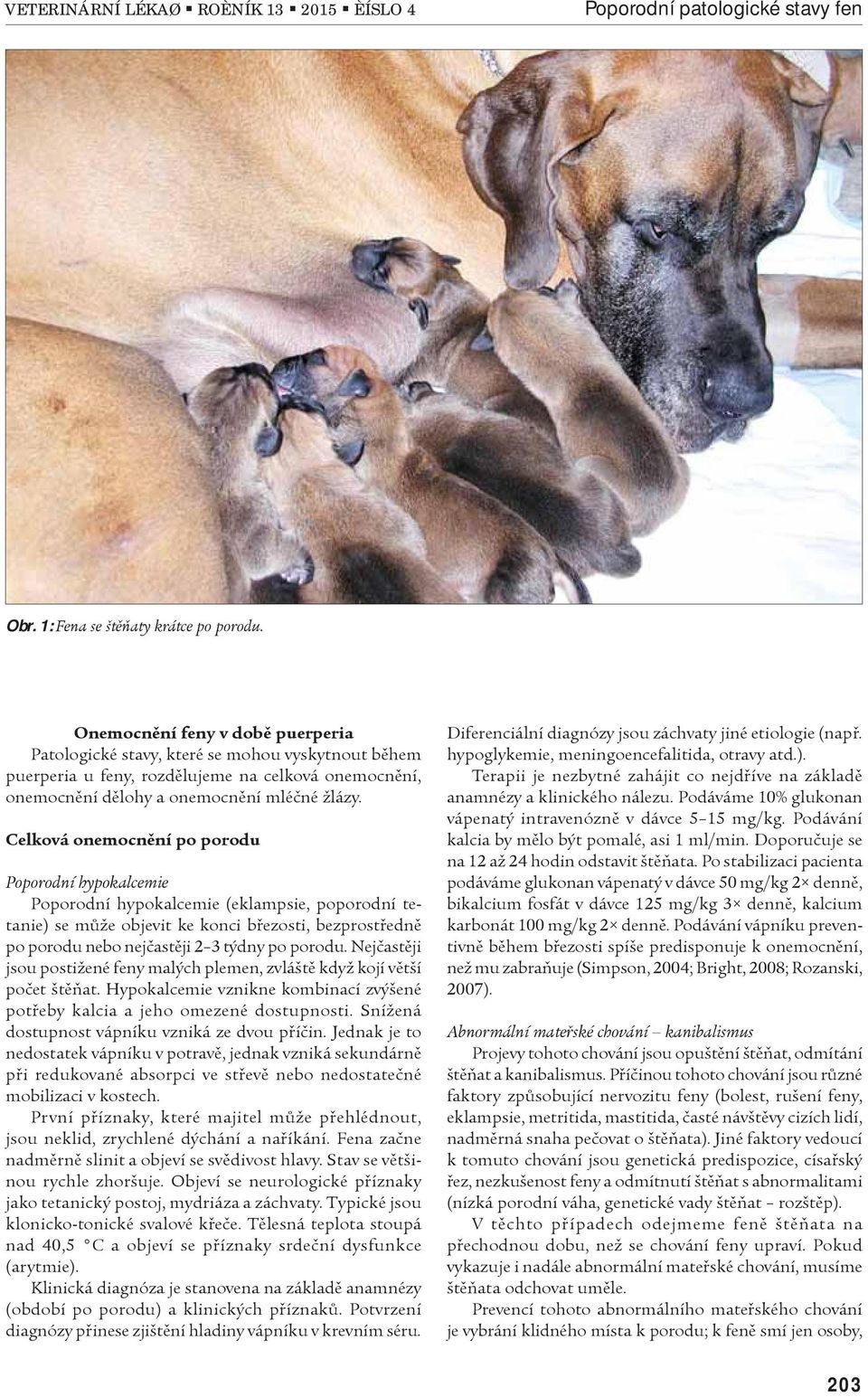 Celková onemocnìní po porodu Poporodní hypokalcemie Poporodní hypokalcemie (eklampsie, poporodní tetanie) se mùže objevit ke konci bøezosti, bezprostøednì po porodu nebo nejèastìji 2 3 týdny po
