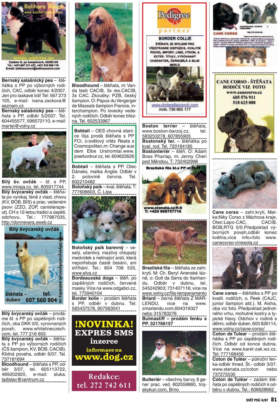 feně z vlast. chovu (KV, BOB, BIS) a prac. vedeném psovi (ZZO, ZOP, canisterapeut). CH s 12-letou tradicí a úspěš. odchovu. Tel.: 777987035, http://donnevara.sweb.cz Bílý švýcarský ovčák prodáme šť.