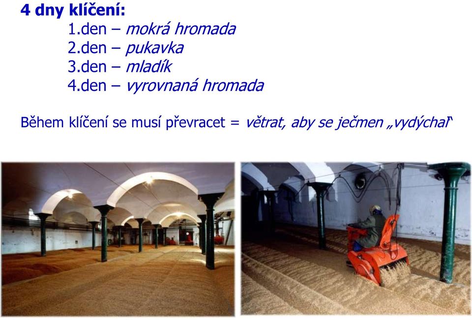 den vyrovnaná hromada Během klíčení
