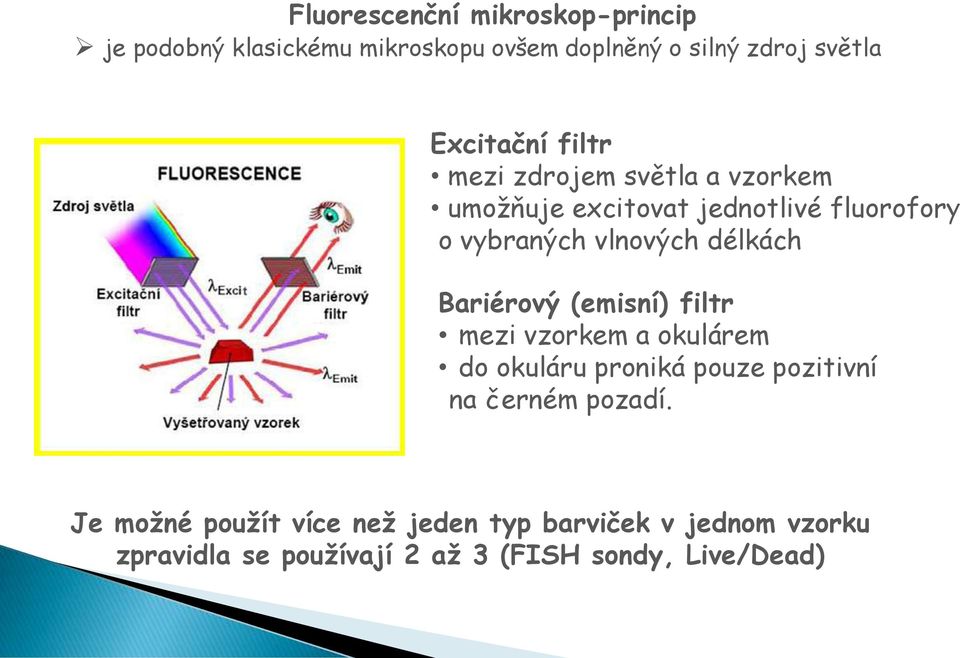 délkách Bariérový (emisní) filtr mezi vzorkem a okulárem do okuláru proniká pouze pozitivní na černém