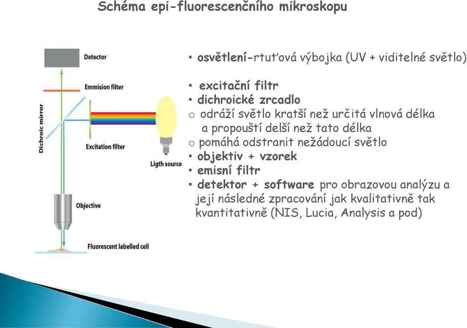 délka o pomáhá odstranit nežádoucí světlo objektiv + vzorek emisní filtr detektor + software pro