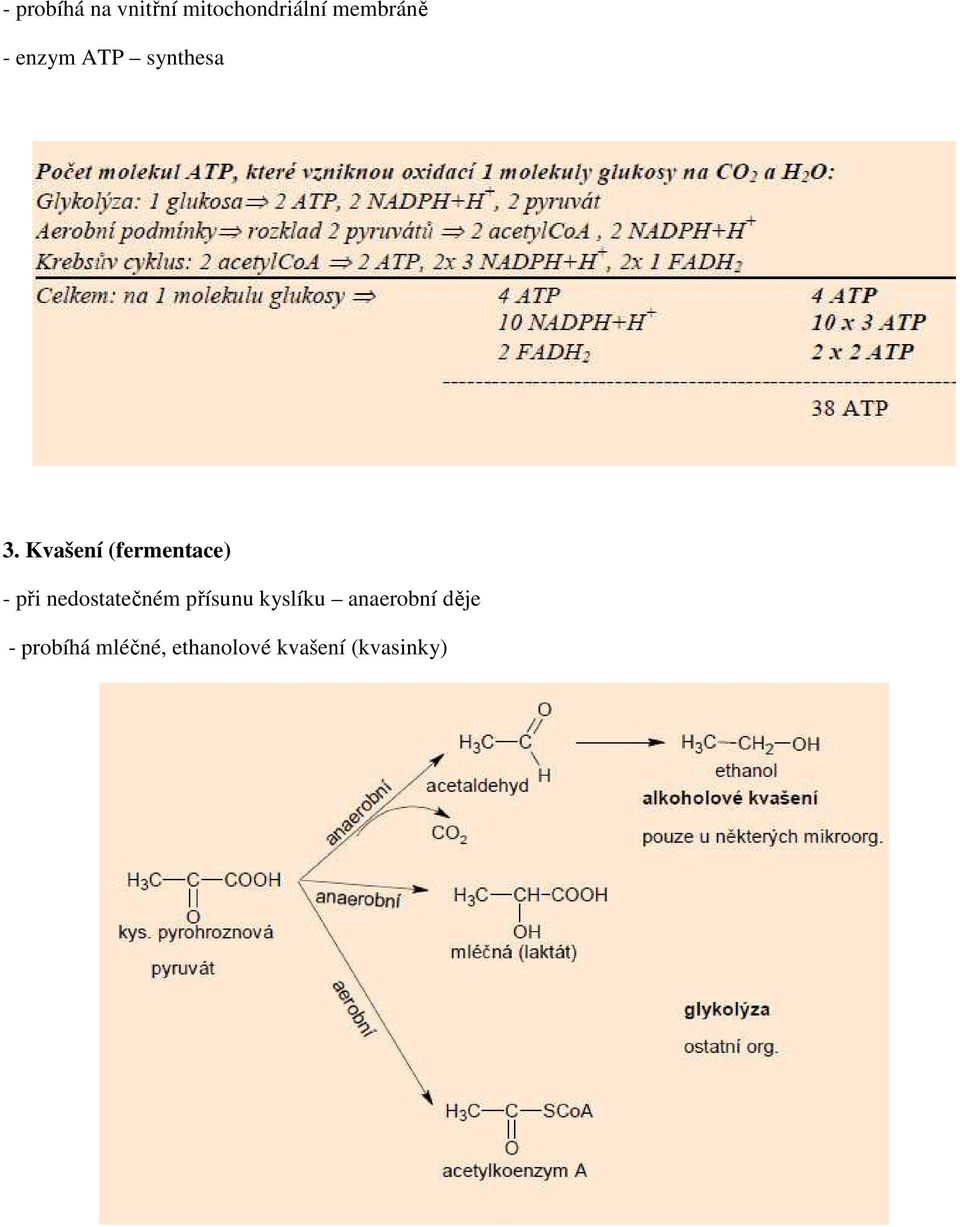 Kvašení (fermentace) - při nedostatečném