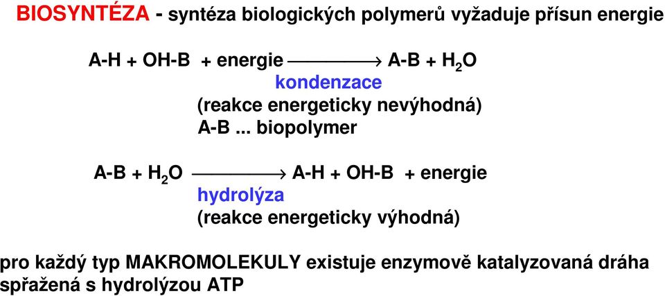 .. biopolymer A-B + H 2 O A-H + OH-B + energie hydrolýza (reakce energeticky