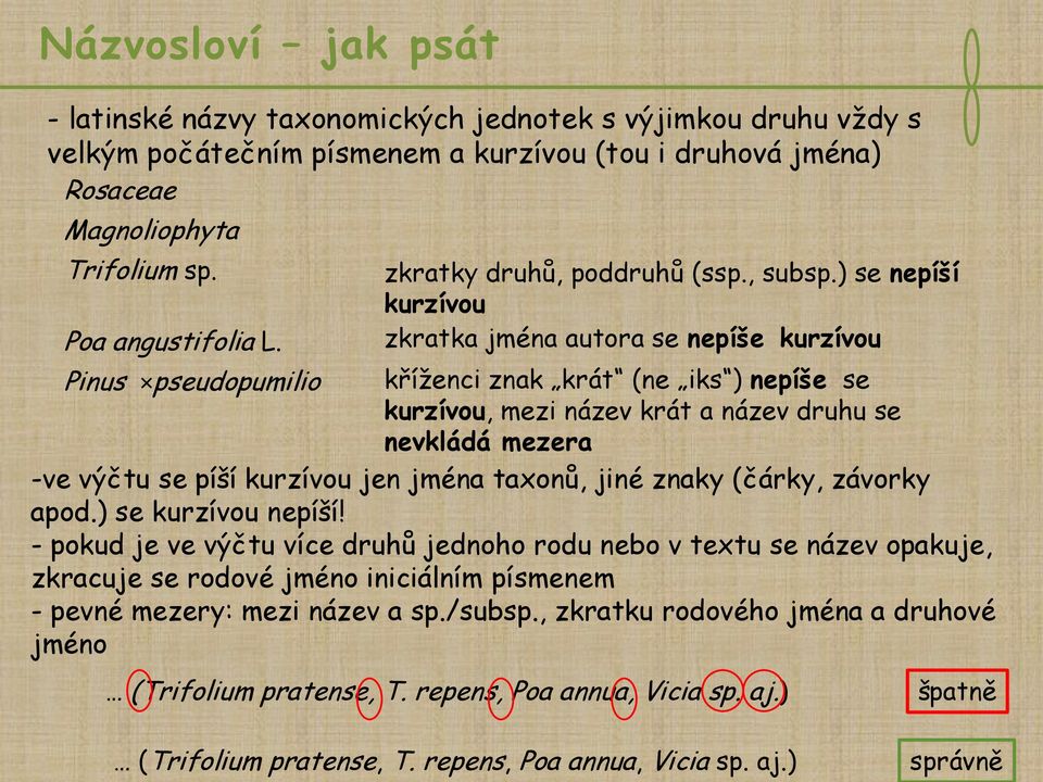 ) se nepíší kurzívou zkratka jména autora se nepíše kurzívou Pinus pseudopumilio kříženci znak krát (ne iks ) nepíše se kurzívou, mezi název krát a název druhu se nevkládá mezera -ve výčtu se píší