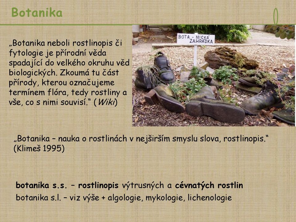 Zkoumá tu část přírody, kterou označujeme termínem flóra, tedy rostliny a vše, co s nimi souvisí.