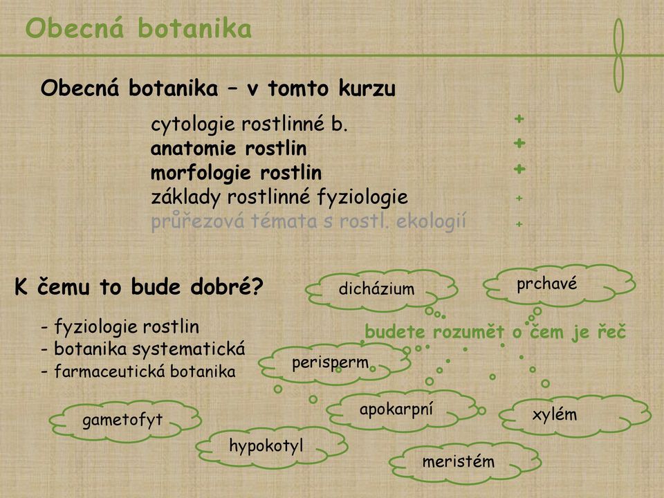 ekologií + + + + + K čemu to bude dobré?
