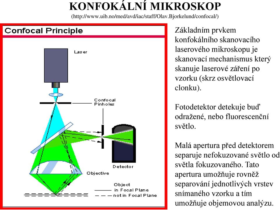 laserové záření po vzorku (skrz osvětlovací clonku). Fotodetektor detekuje buď odražené, nebo fluorescenční světlo.