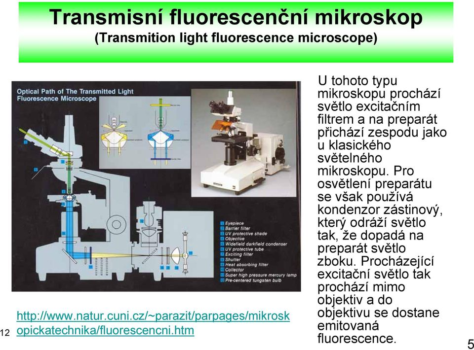 htm U tohoto typu mikroskopu prochází světlo excitačním filtrem a na preparát přichází zespodu jako u klasického světelného