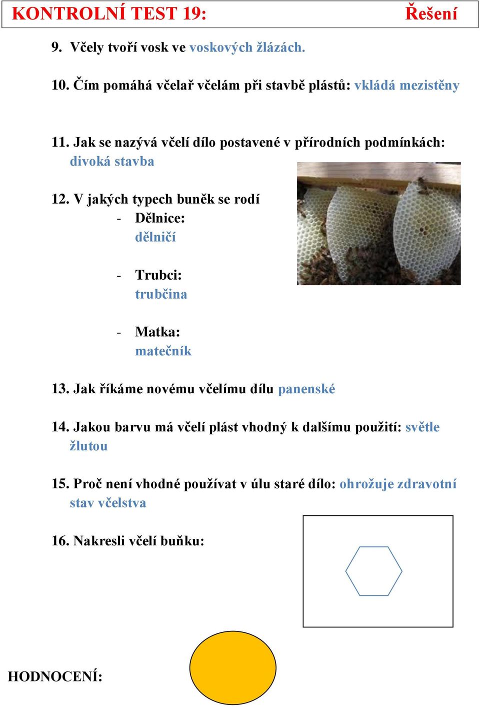 Jak se nazývá včelí dílo postavené v přírodních podmínkách: divoká stavba 12.