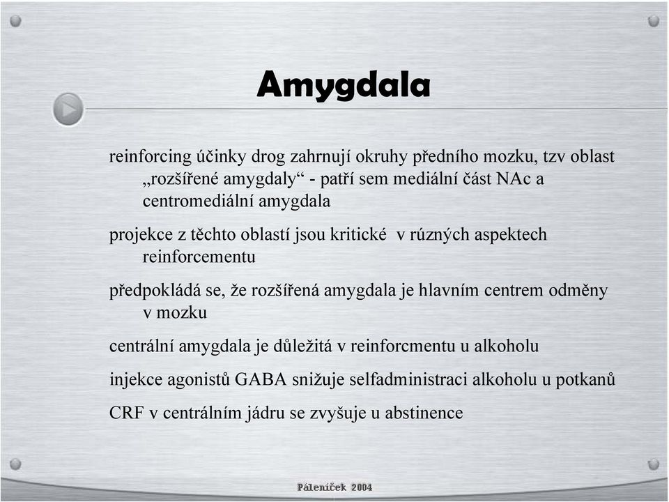 předpokládá se, že rozšířená amygdala je hlavním centrem odměny v mozku centrální amygdala je důležitá v